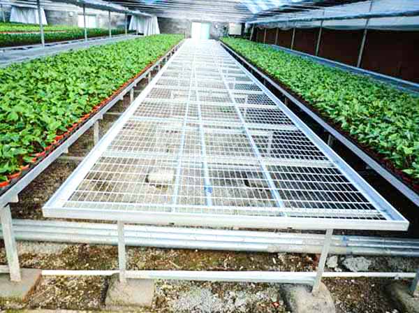 日光溫室大棚 日光溫室大棚